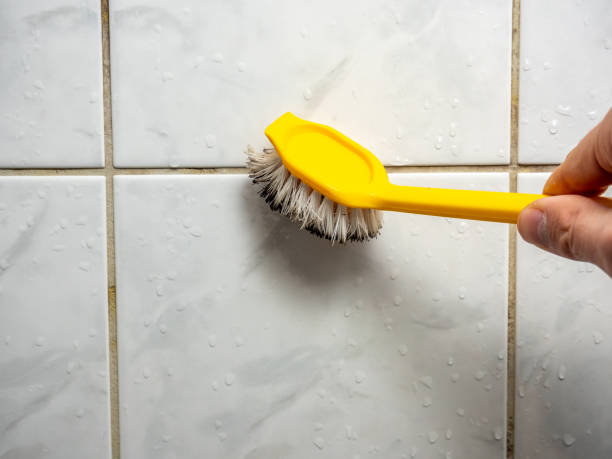 Best Mold Testing  in Clayton, DE