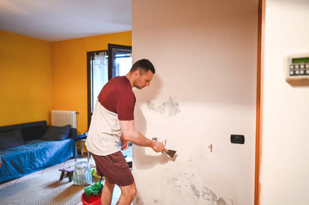 Best Fast Mold Removal  in Clayton, DE